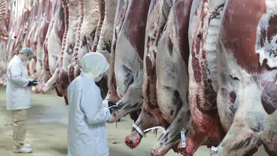 “Kırmızı et” operasyonunda 30 şüpheli gözaltına alındı