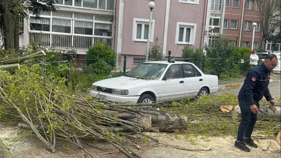 Beylikdüzü’nde 10 metrelik ağaç otomobilin üzerine devrildi