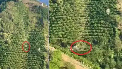 Giresun’da feci kaza: Otomobil yüzlerce metrelik yamaçtan yuvarlandı