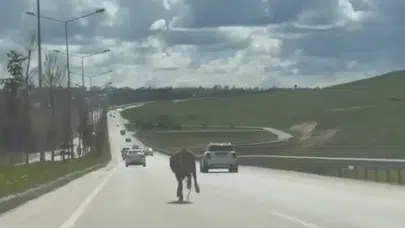 Erzurum’da arefe günü klasiği değişmedi: Firari kurbanlıklar trafiği kilitledi