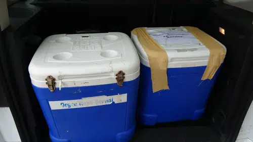 Trabzon'da beyin ölümü gerçekleşen genç kadının organları 3 kişiye umut oldu