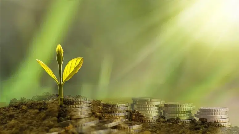 Yeşil dönüşüm için 3 milyar liralık faizsiz finansman desteği