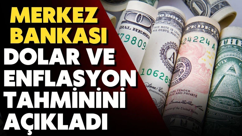Yıl sonu enflasyon ve dolar tahmini değişti!