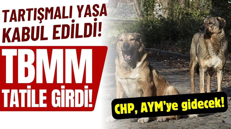 Sokak hayvanlarına yönelik düzenleme Meclis'te yasalaştı!