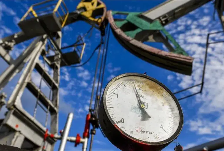 Türkiye’den petrol stoklarını piyasaya sunma kararı