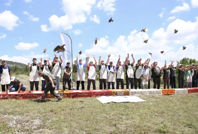 Kastamonu’da kenelerle mücadele için 1200 kınalı keklik doğaya salındı