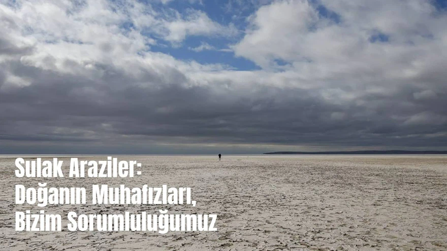 İklim Değişikliğinin Habercisi: Sulak Araziler