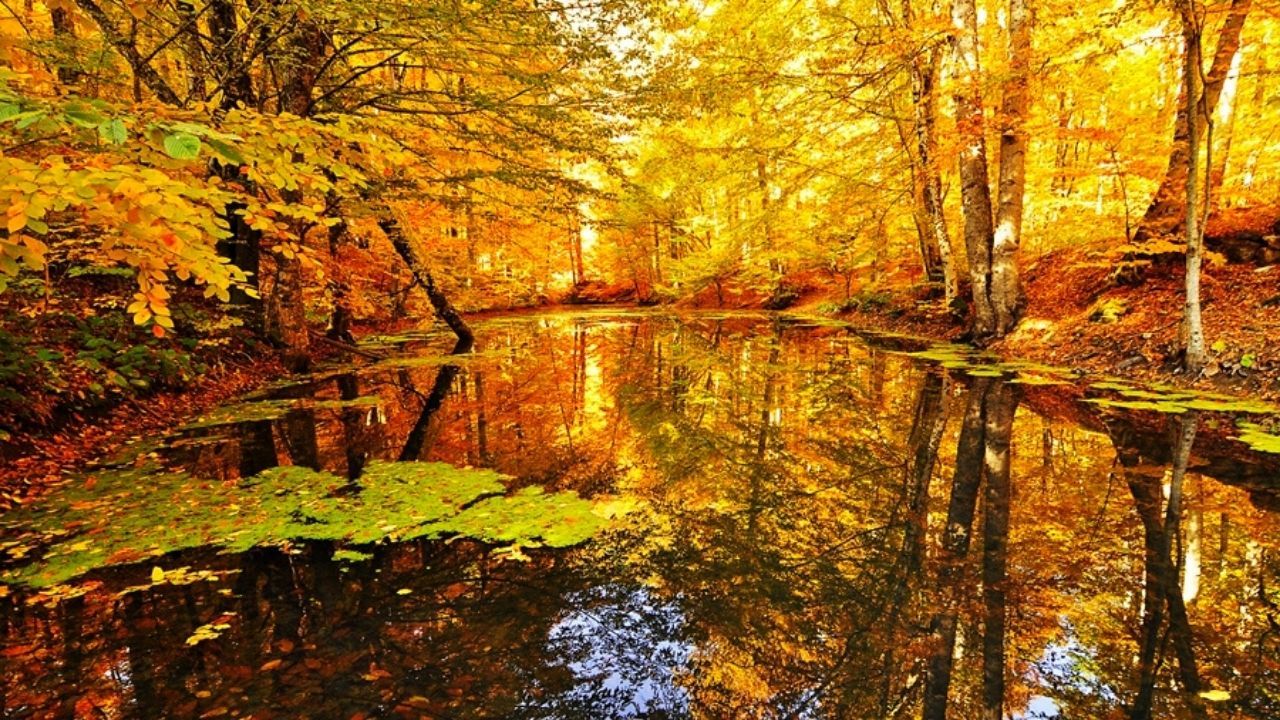 İki mevsimin birlikte yaşandığı Abant Tabiat Parkı fotoğraf tutkunlarını büyülüyor 1