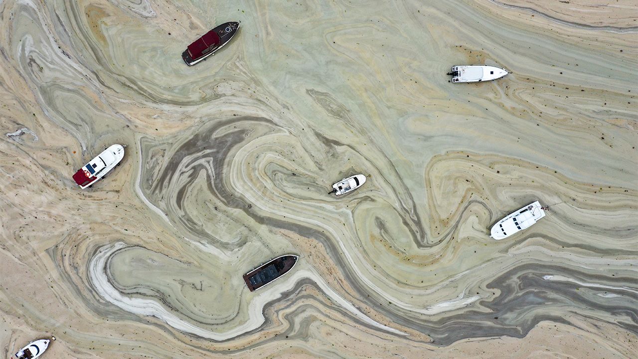 Geleneksel "Yılın Fotoğrafları" oylaması başladı 20