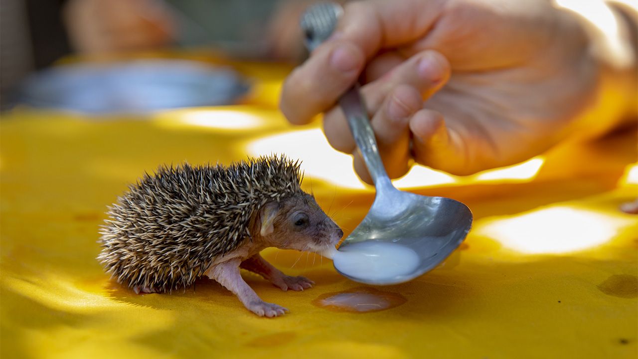 Geleneksel "Yılın Fotoğrafları" oylaması başladı 9