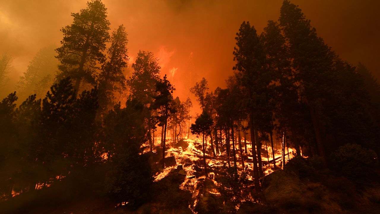 Geleneksel "Yılın Fotoğrafları" oylaması başladı 4