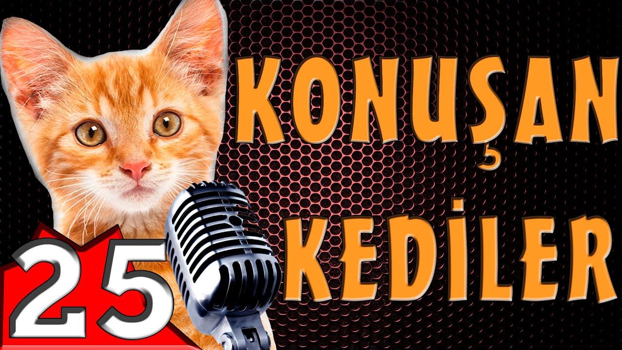 Youtube, Türkiye'de 2021 yılının en popüler videolarını açıkladı. 10