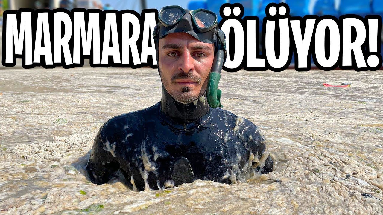 Youtube, Türkiye'de 2021 yılının en popüler videolarını açıkladı. 9