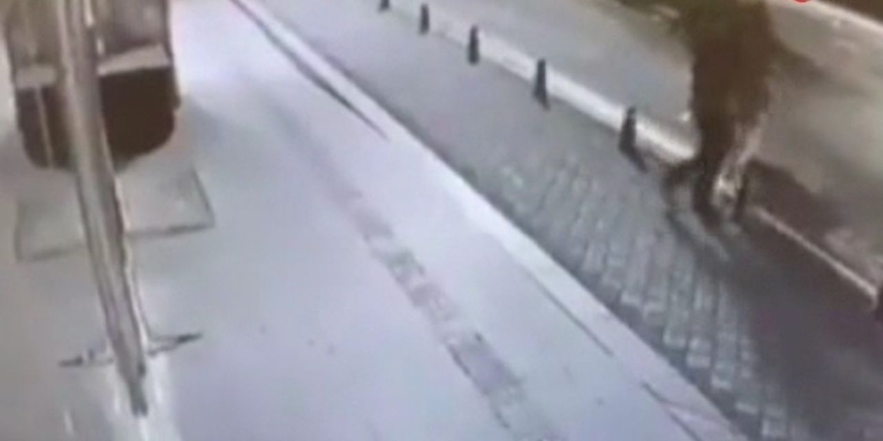 Pantolonunu indirip kadının üzerine işedi 2