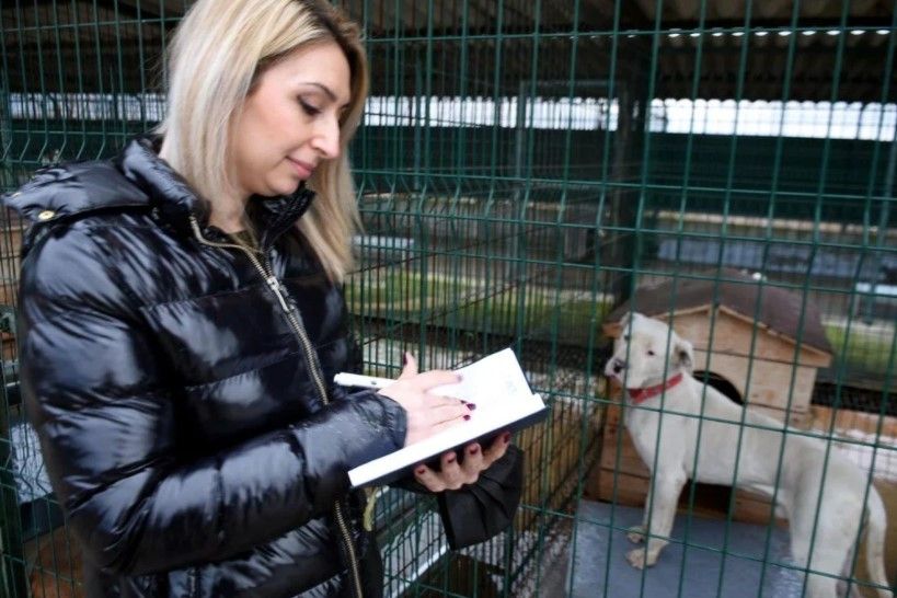 'Yasaklı ırk' köpekler için barınakta yer kalmadı 9
