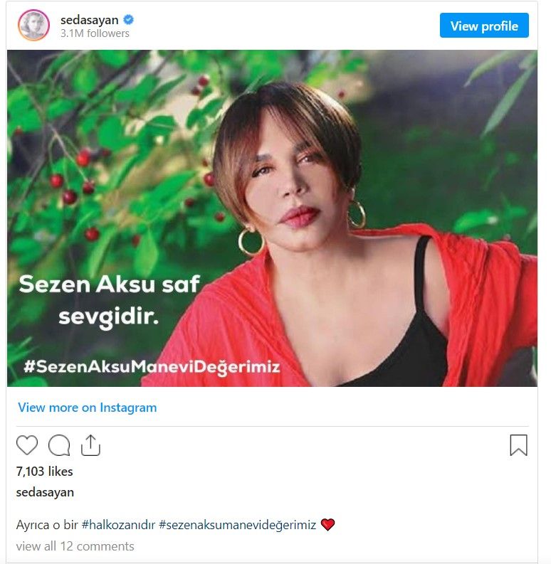 Sezen Aksu'nun şarkı sözleri hakkında kimler neler dedi? 20