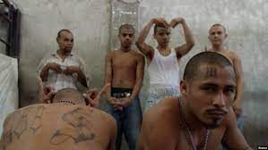 El Salvador hakkında merak edilenler 19