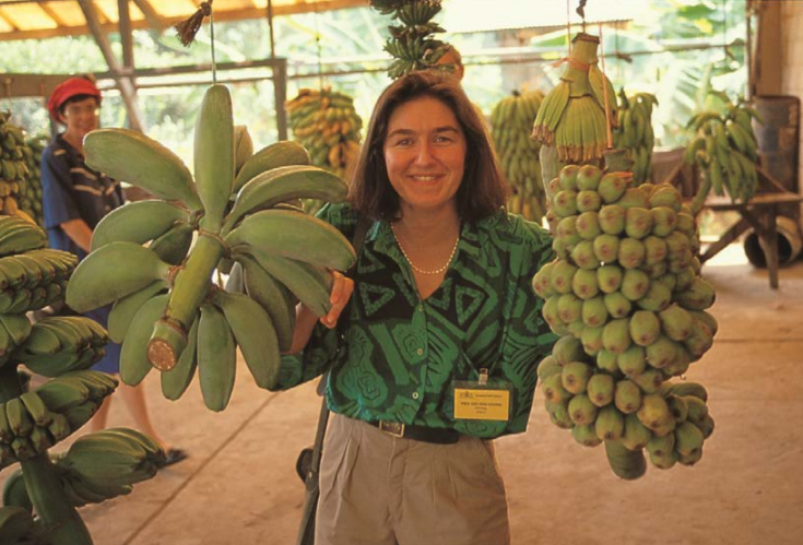 "Yalancı muz"  adıyla bilinen "enset" iklim değişikliği ve açlığa çare mi? 11