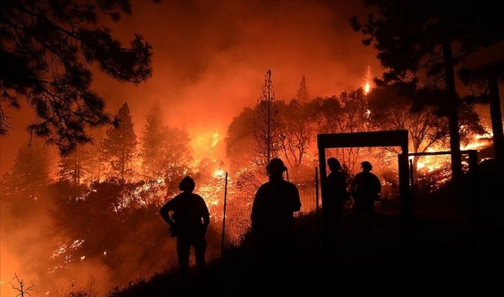 40 yılda 142 bin kişinin ölümüne neden oldu 3