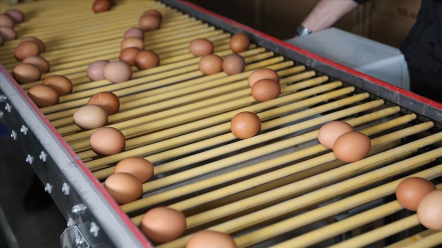 KDV indirimi uygulanacak ürünler hangileri? 11