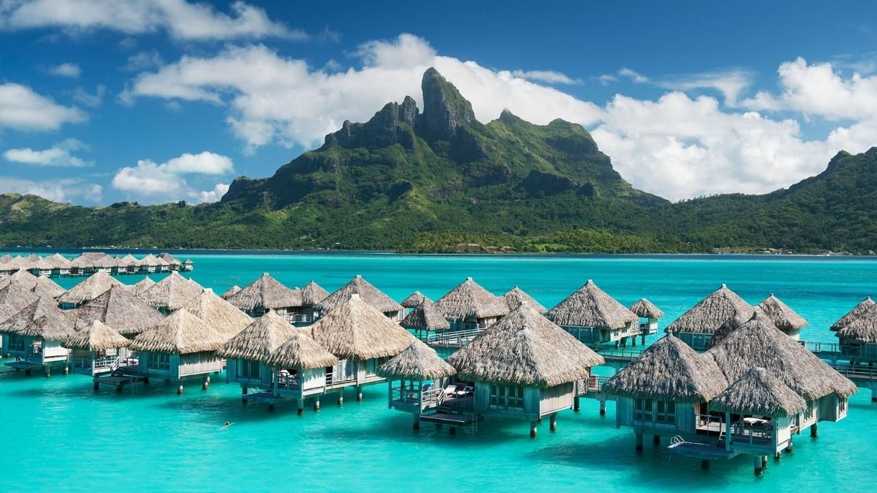 Denize düşen iş insanı Dilek Ertek bulunamadı! 2