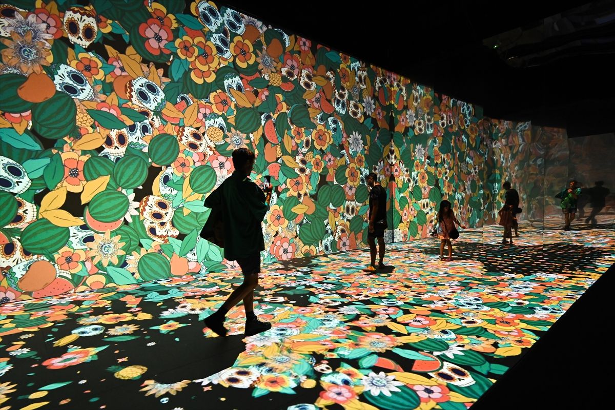 Sidney'de dijital Frida Kahlo sergisi 3