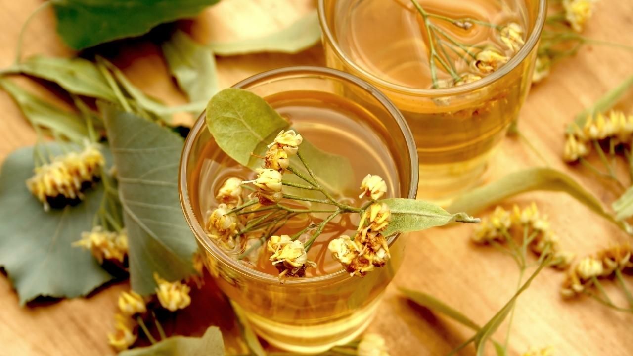 Hangi bitki çayı, neye yarar? 1