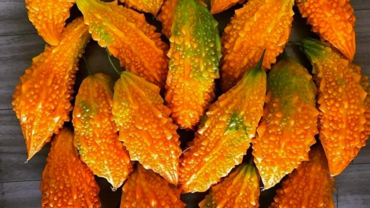 Hangi bitki çayı, neye yarar? 3