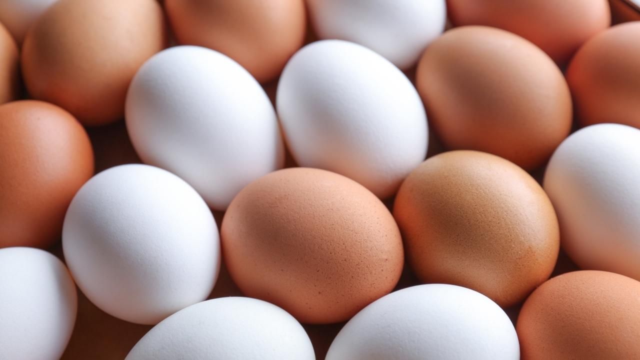 Beyaz mı, kahverengi mi? Hangi yumurta daha faydalı? 5