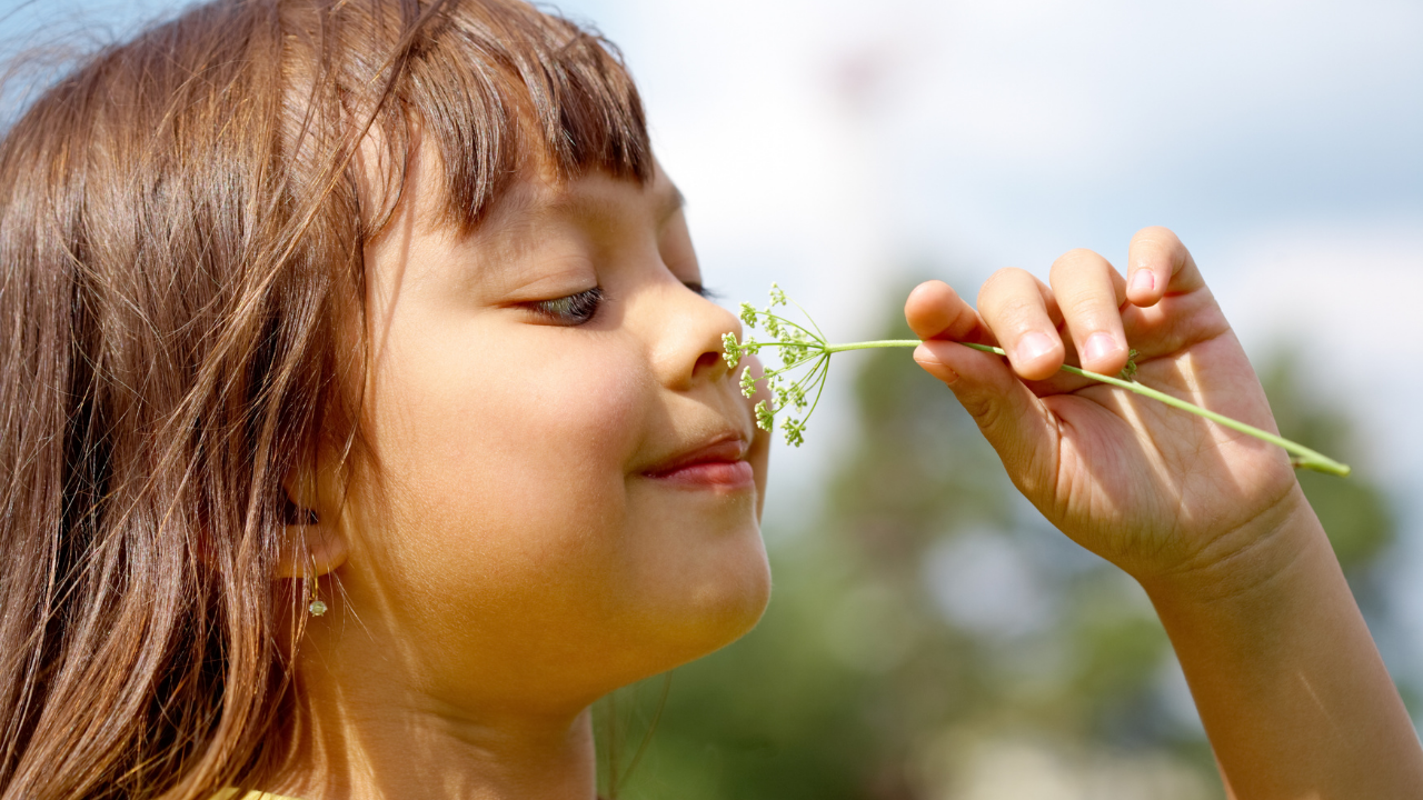 Koku duyusunu geliştirmek için 5 yöntem! 8