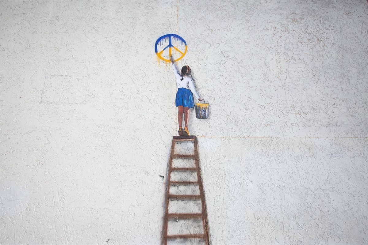 Savaşın gölgesinde sanat: İtalyan sokak sanatçısı Tvboy'un Kiev bölgesindeki duvar resimleri 8