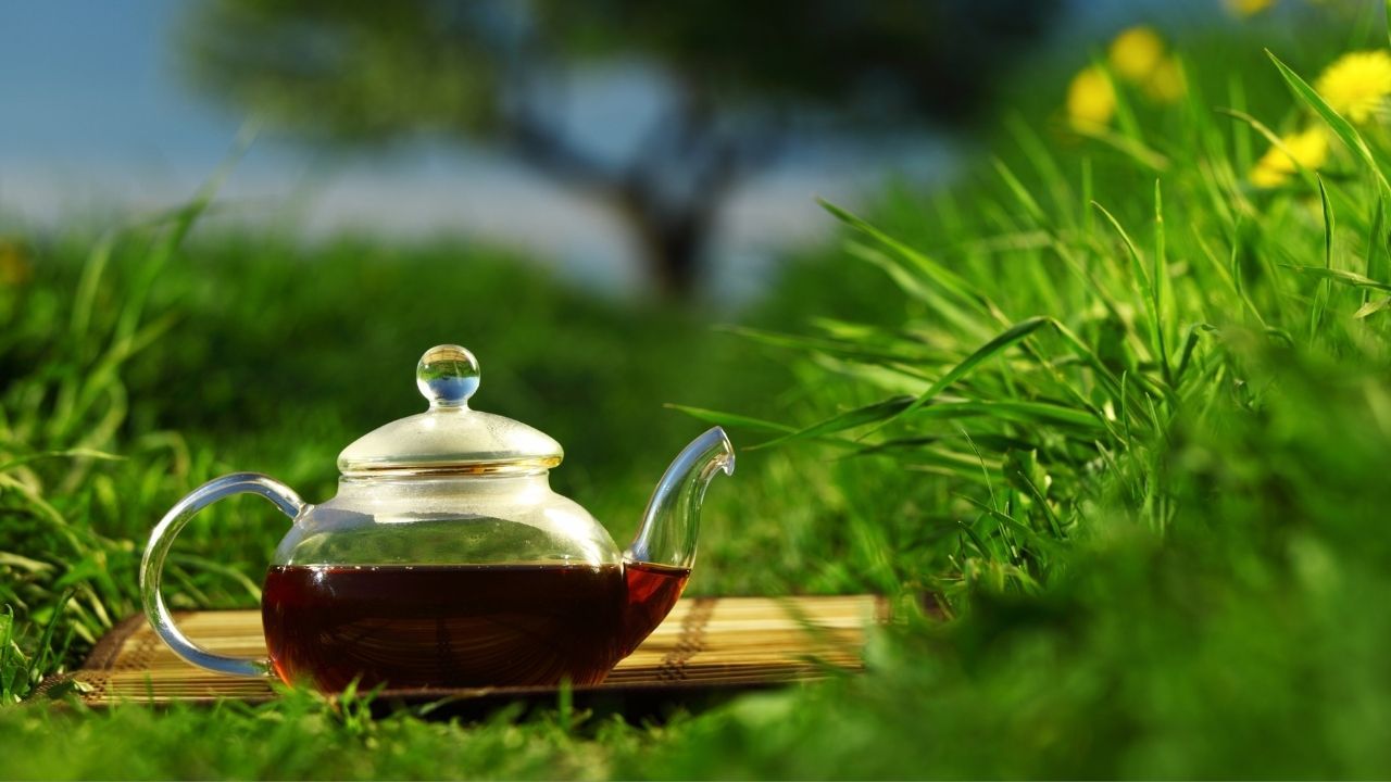 Her gün çay içmek vücutta nasıl bir etki bırakır? 7