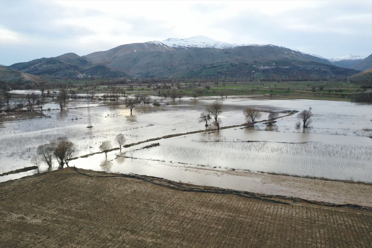 Deprem ve sel Adıyaman tütününü de vurdu! Tarım arazileri havadan görüntülendi! 2