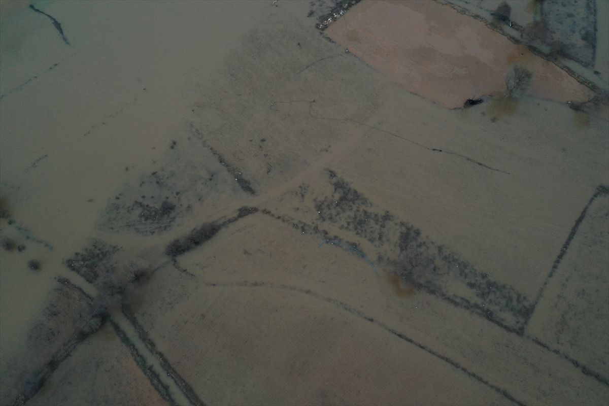 Deprem ve sel Adıyaman tütününü de vurdu! Tarım arazileri havadan görüntülendi! 5