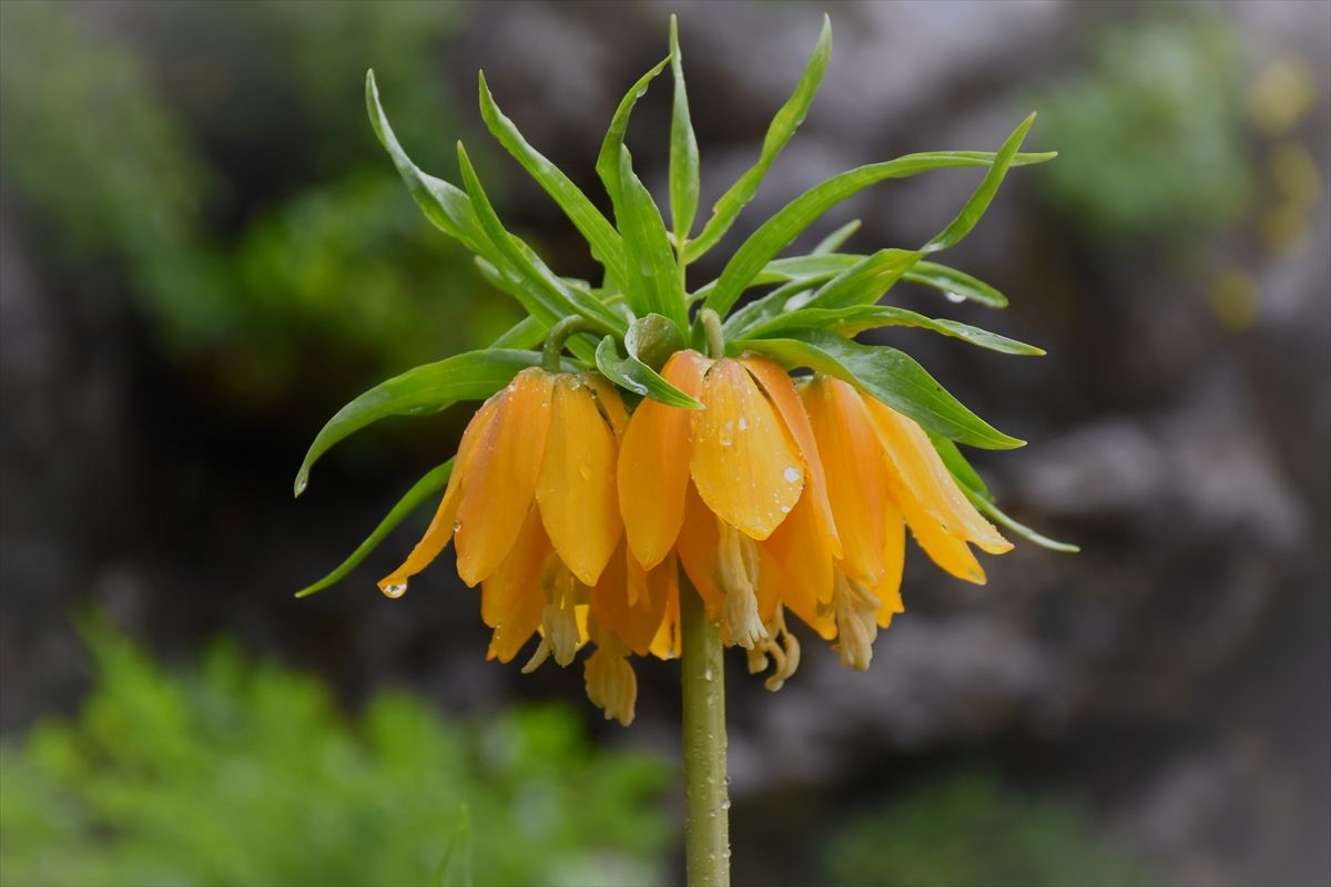 Sakın kopartmayın! Kopartmanın cezası 244 bin TL! 4