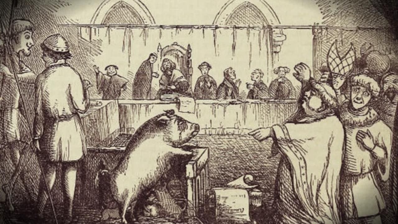 Daha önce duymadığınız tarih bilgileri! 7