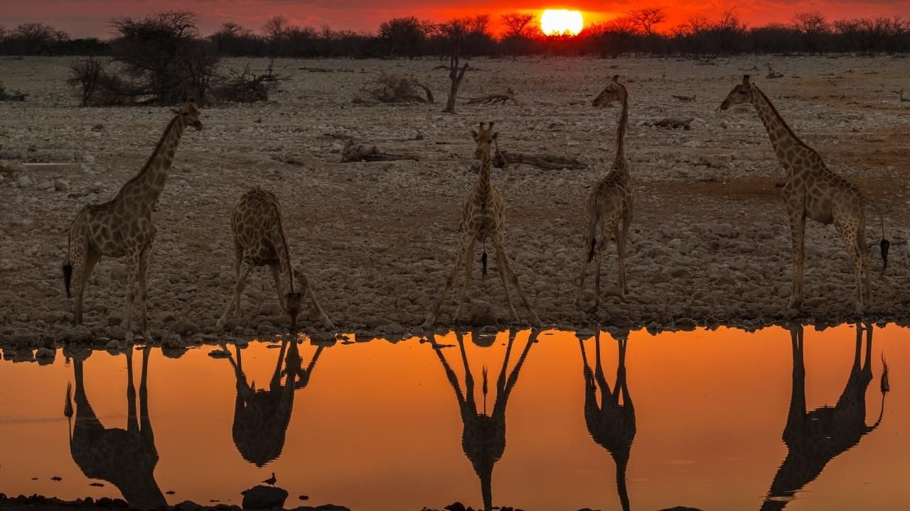 Dünyanın en büyük Milli Parkları! 1