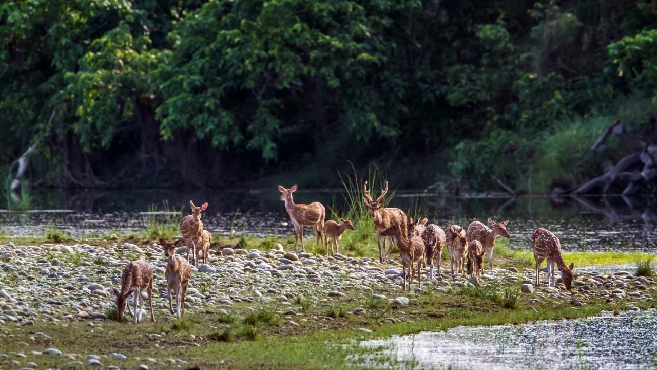 Dünyanın en büyük Milli Parkları! 9