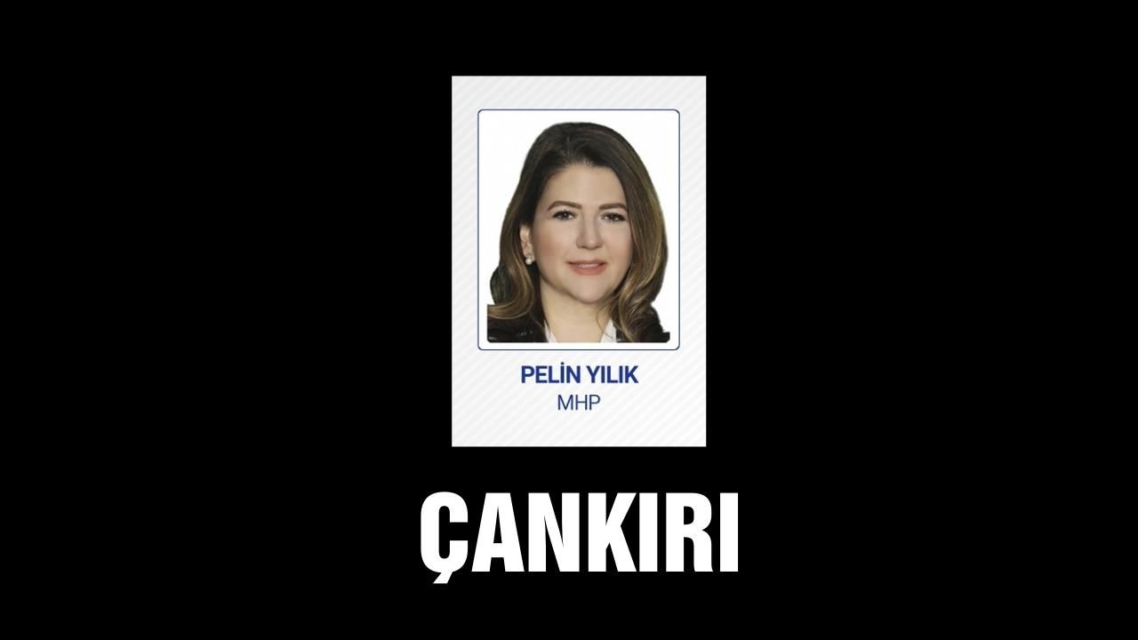 Meclise giren kadın milletvekilleri! 12