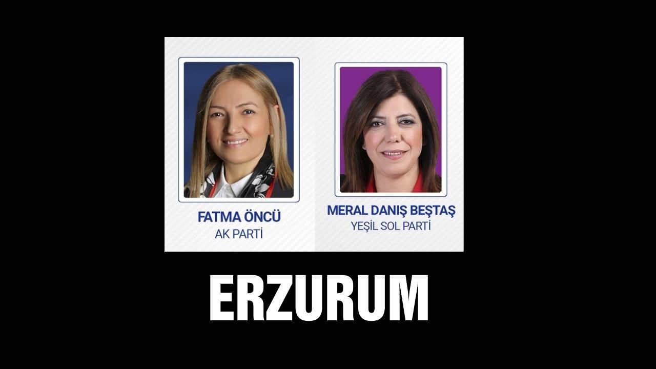 Meclise giren kadın milletvekilleri! 17