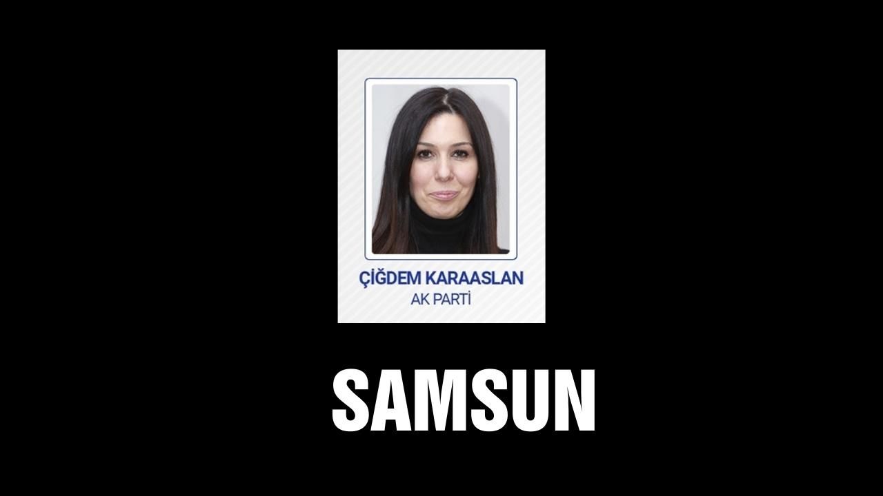 Meclise giren kadın milletvekilleri! 44