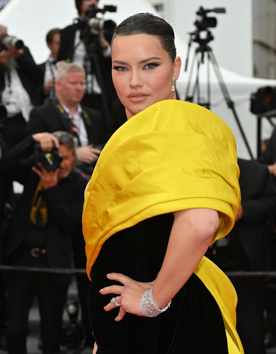 Cannes Film Festivali'nde yıldızlar geçidi 33