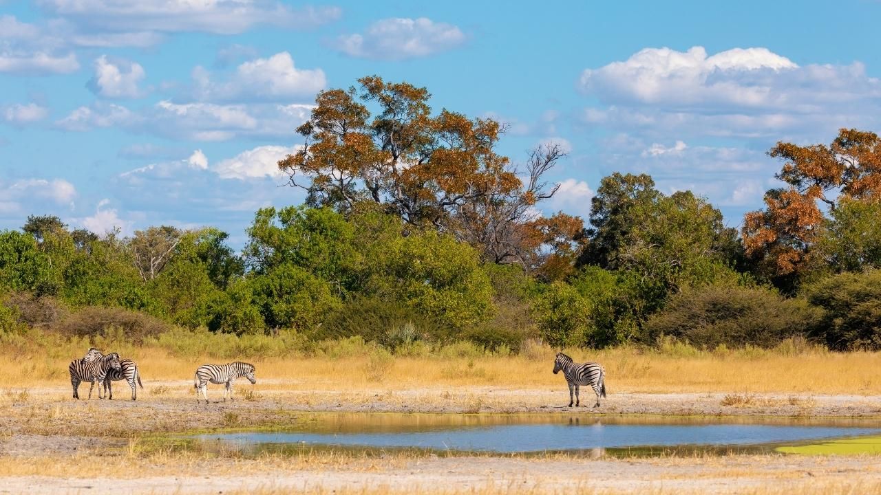 O ülkelere kimlikle seyahat edebilirsiniz! 19