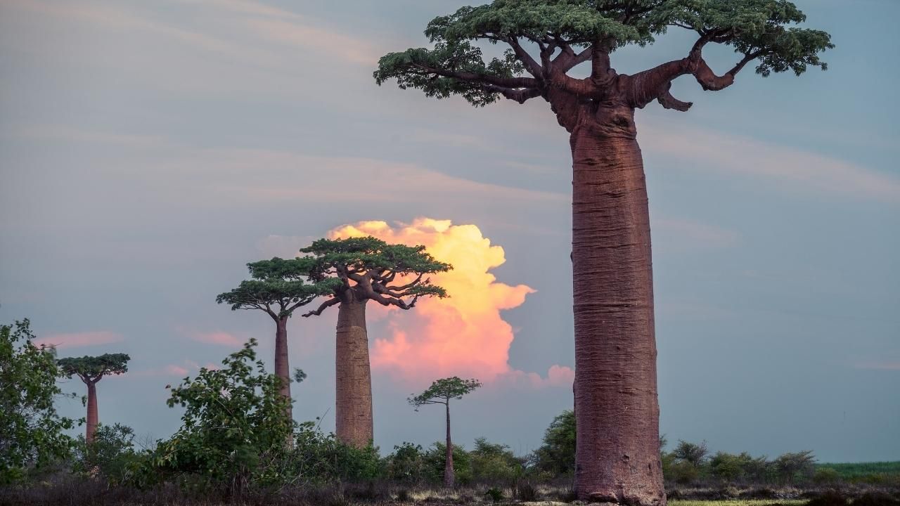O ülkelere kimlikle seyahat edebilirsiniz! 57
