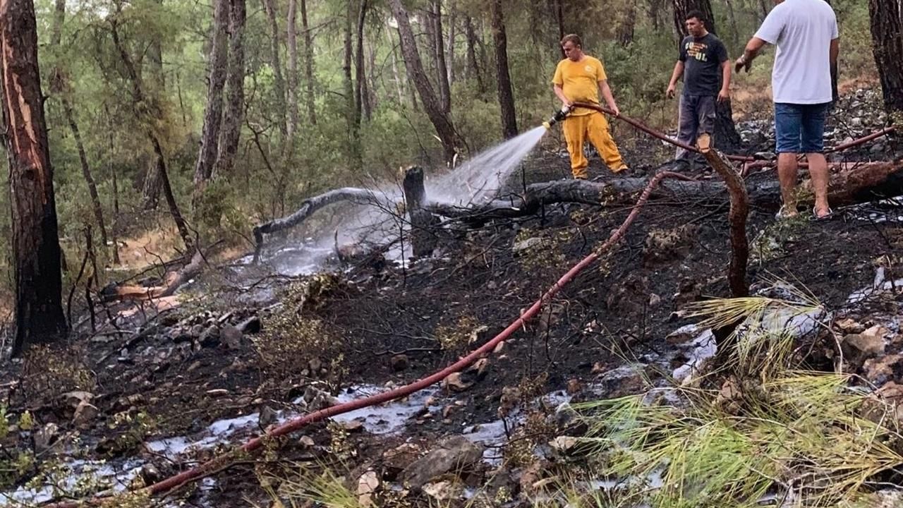Muğla'da 1 günde düşen yıldırımlar nedeniyle 36 yangın çıktı 1