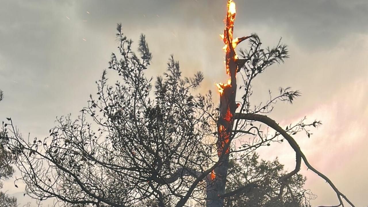 Muğla'da 1 günde düşen yıldırımlar nedeniyle 36 yangın çıktı 2