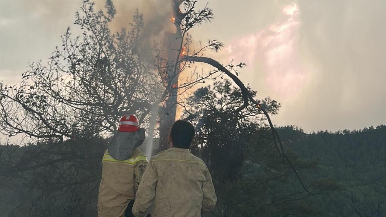 Muğla'da 1 günde düşen yıldırımlar nedeniyle 36 yangın çıktı 3
