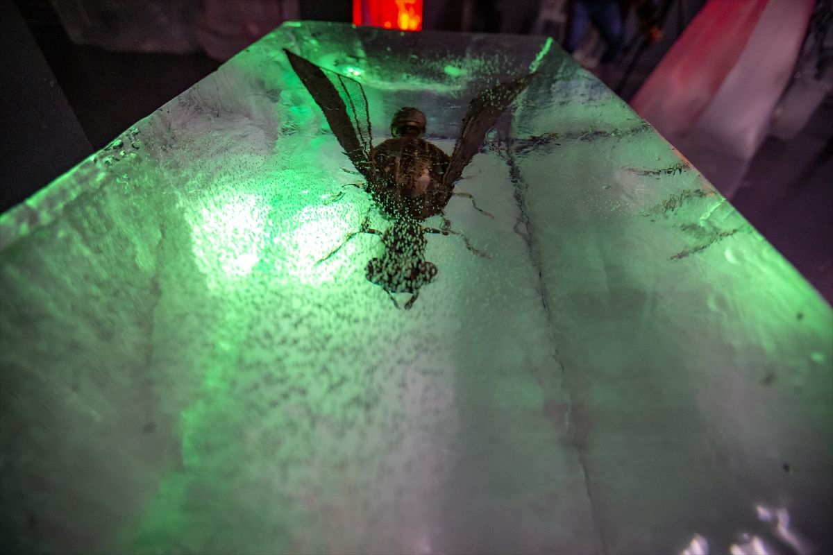 Erzurum'daki Buz Müzesi, yoğun ilgi görüyor! 1