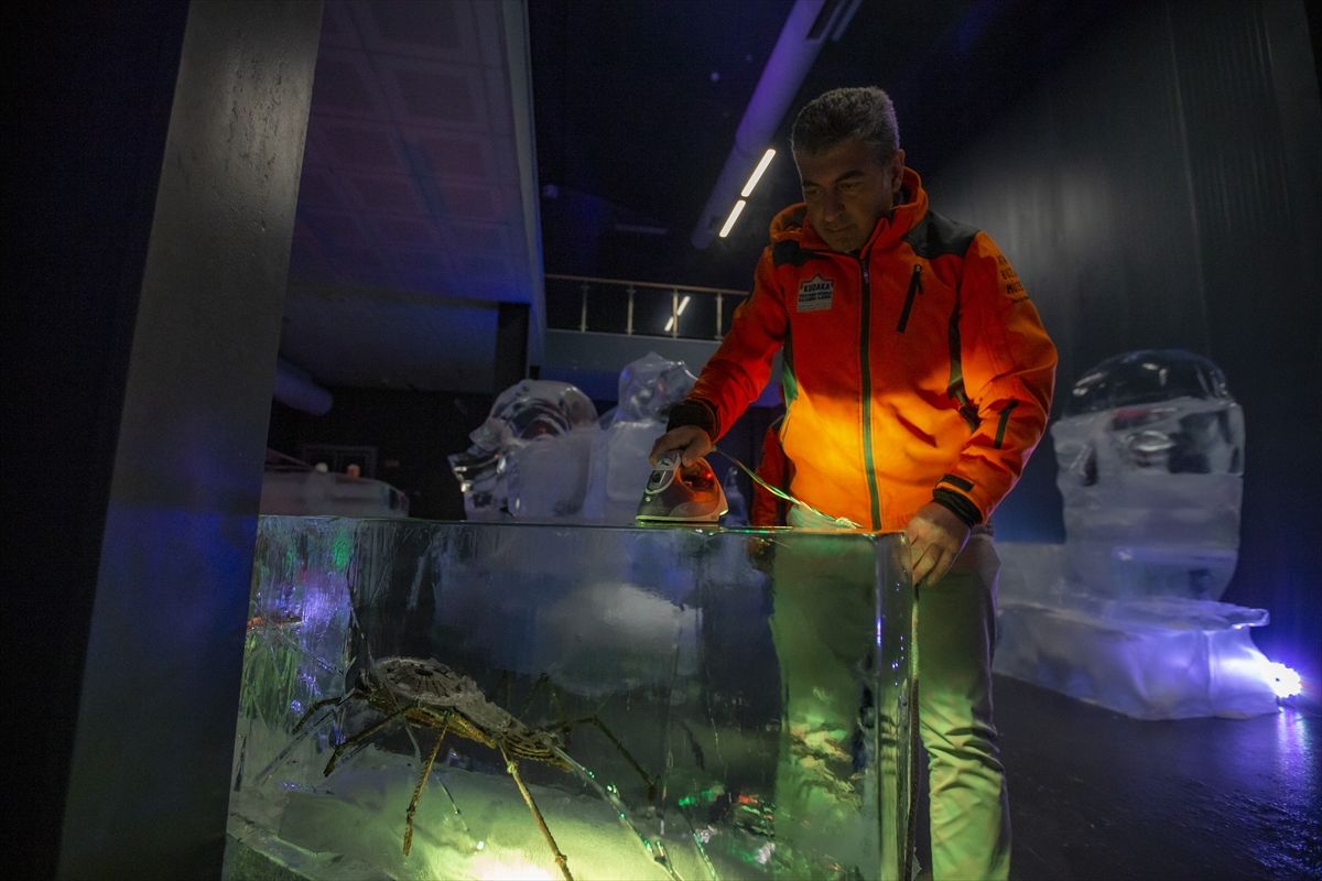 Erzurum'daki Buz Müzesi, yoğun ilgi görüyor! 12