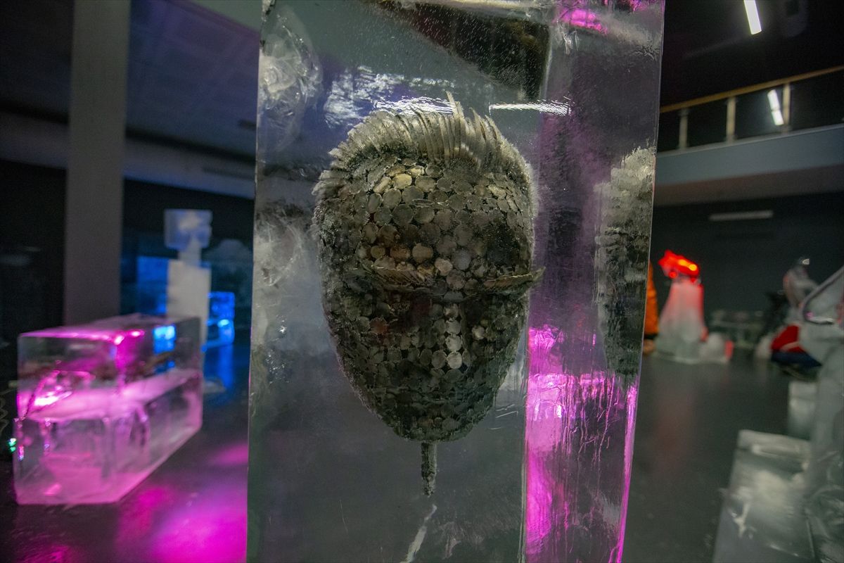 Erzurum'daki Buz Müzesi, yoğun ilgi görüyor! 11